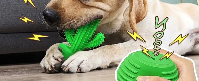 Dog Toothbrush Rubber Rod Dog Squeaky Dental Care Toothbrush Aggressive Dog Chew Toys