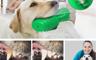 Dog Toothbrush Rubber Rod Dog Squeaky Dental Care Toothbrush Aggressive Dog Chew Toys