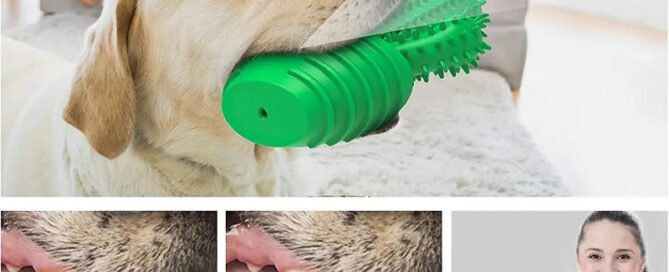 Dog Toothbrush Rubber Rod Dog Squeaky Dental Care Toothbrush Aggressive Dog Chew Toys