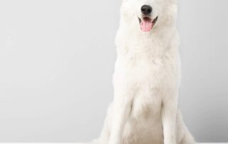 Wacker Plate Rubber Mat Waterproof Dog Bowl Mat Silicone Dog Mat for Food and Water with Edges