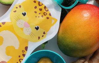 Food Pouch Top No Spill Flow Control Silicone Valve Protects Childs Silicone Mouth