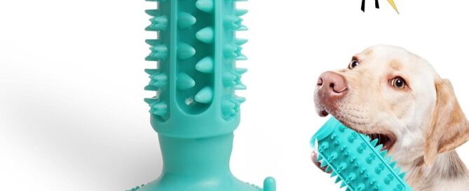 Suction Cup Rubber Dog Chew Toys for Aggressive Chewers Durable Dog Teeth Cleaning Toothbrush Toys