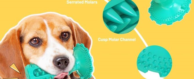 Suction Cup Rubber Dog Chew Toys for Aggressive Chewers Durable Dog Teeth Cleaning Toothbrush Toys