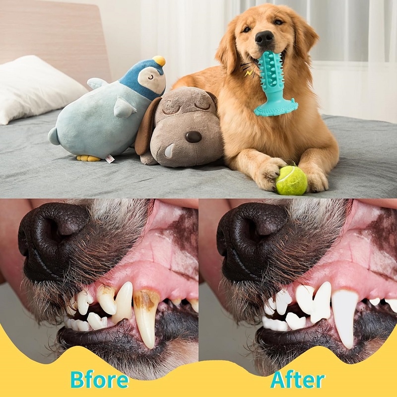 Suction Cup Rubber Dog Chew Toys for Aggressive Chewers Durable Dog Teeth Cleaning Toothbrush Toys