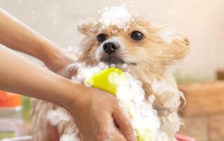 Silicone Sponge Dish Washing Kitchen Scrubber Sponges Kitchen Dish Scrubber Brush