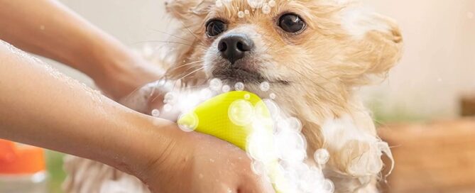 Silicone Sponge Dish Washing Kitchen Scrubber Sponges Kitchen Dish Scrubber Brush