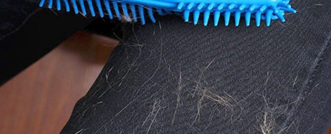 Pet Hair Remove Brush Portable Dogs Cats Hair&Lint Remover Rubber Massage Brush for Furniture