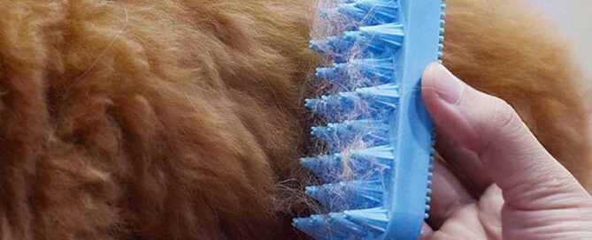 Pet Silicone Cleaner Brush Hollow Shampoo Grooming Removal Comb Dog Shower Hair Remover