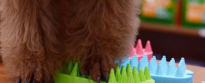 Pet Silicone Cleaner Brush Hollow Shampoo Grooming Removal Comb Dog Shower Hair Remover