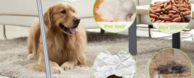 Rubber Broom Pet Hair Remover Silicone Brooms for Floor Cleaning Carpet Squeegee Sweep