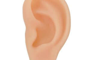 Silicone Left Ear Model Ear Cleaning Earwax Remover Authentic Modeling Ear