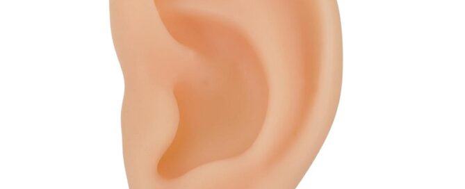 Silicone Left Ear Model Ear Cleaning Earwax Remover Authentic Modeling Ear