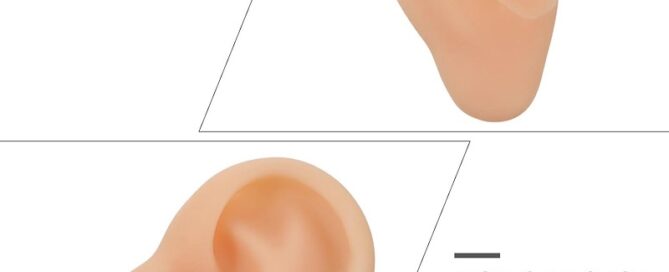 Silicone Left Ear Model Ear Cleaning Earwax Remover Authentic Modeling Ear