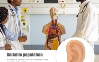 Silicone Left Ear Model Ear Cleaning Earwax Remover Authentic Modeling Ear