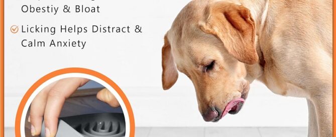 Slow Feeder Dog Bowls Non-Slip Silicone Lick Mat For Dogs Silicon Profile Tool