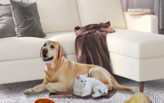 Slow Feeder Dog Bowls Non-Slip Silicone Lick Mat For Dogs Silicon Profile Tool