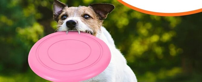 Flying Discs for Kids Soft Rubber Dog Training Flying Discs Outdoor Playing Disk Flyer