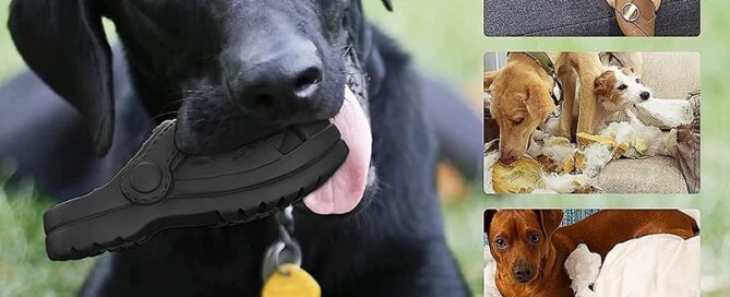 Indestructible Tough Dog Toys For Aggressive Chewers Durable Dog Chew Toys Natural Rubber Dog Toy