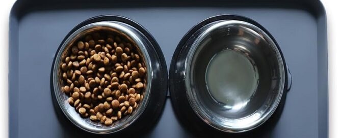Rubber Matts Waterproof Pet Feeding Mats with High Lips in Multiple Sizes and Colors for Dogs