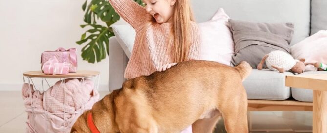 Silicone Dog Mat for Food and Water Large Pet Feeding Mats with Residue Collection Pocket