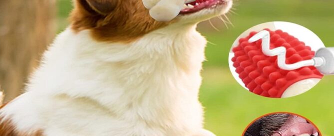 Rubber Granules Sleeve Dog Chew Toy for Chewers Rubber Teething Stick Cover