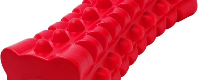 Rubber Tough Squeaky Dog Toys for Aggressive Chewers Rubber Chew Teeth Training Stick