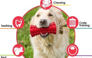 Rubber Tough Squeaky Dog Toys for Aggressive Chewers Rubber Chew Teeth Training Stick