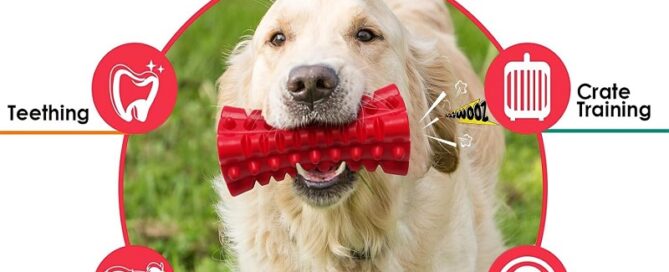 Rubber Tough Squeaky Dog Toys for Aggressive Chewers Rubber Chew Teeth Training Stick