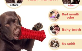 Rubber Tough Squeaky Dog Toys for Aggressive Chewers Rubber Chew Teeth Training Stick