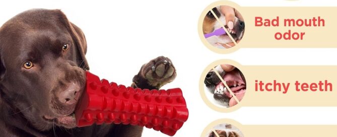 Rubber Tough Squeaky Dog Toys for Aggressive Chewers Rubber Chew Teeth Training Stick