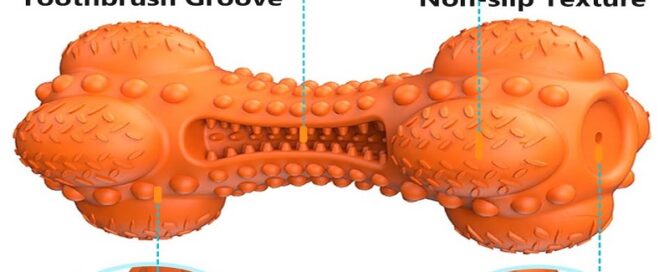 Squeaky Dog Chew Toy Tough Rubber Bone with Toothbrush for Dog Teeth Cleaning