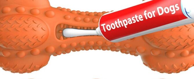 Squeaky Dog Chew Toy Tough Rubber Bone with Toothbrush for Dog Teeth Cleaning