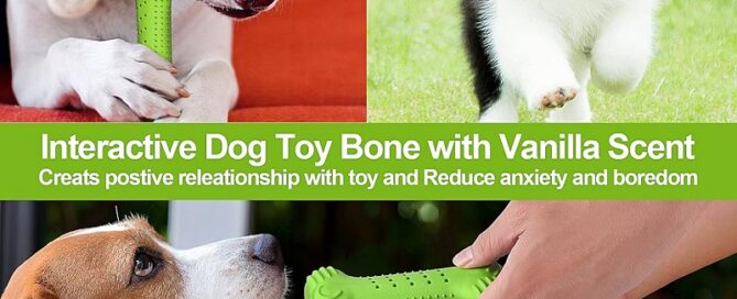 Durable Dog Bones Dog Chew Toys for Teething Natural Rubber Tough Puppy Teething Toys