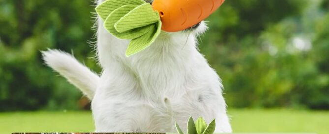 Dog Toys for Aggressive Chewers Silicone Squeaky Dog Toys Rubber Dog Chew Toys