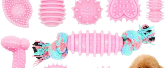 Shredded Rubber Puppy Chew Toys for Teething Cute Pink Small Dog Toys Puppy Teething Toys