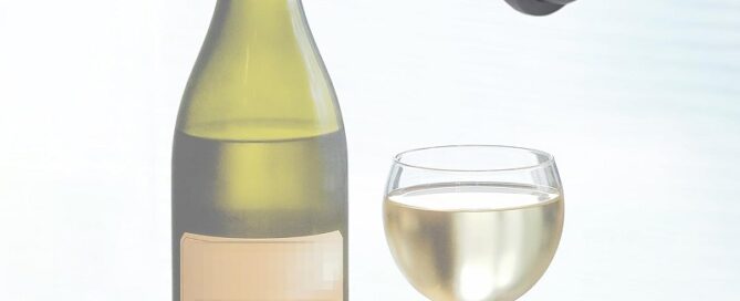 Cork Rubber Gasket Vacuum Pump Preserver Bottle Rubber Corks to Preserve Wine