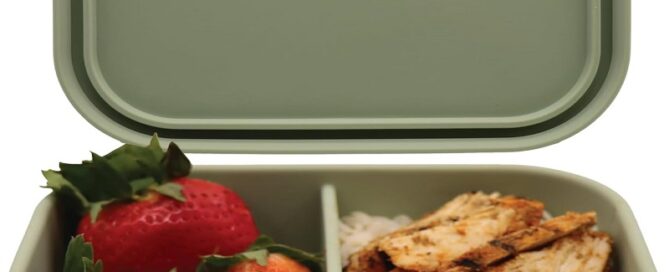 Silicone Bento Box Leakproof 2 Compartments Food Container Storage
