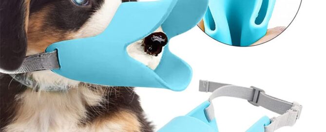 Soft Silicone Duckbill Mouth Cover Pet Anti-biting Adjustable Safety Little Dog Muzzle Silicone Dog Muzzles